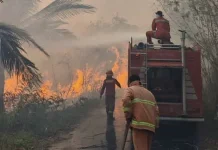 Karhutla Halut Capai 111 Titik, Luas Terdampak 489,35 Hektare
