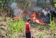 Karhutla di Kota Ternate Capai 79 Kejadian, Warga Diminta Waspada
