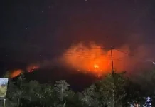 Karhutla Meluas di Halmahera Timur, Petugas Kewalahan Padamkan Api