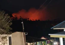 Petugas Padamkan Lima Titik Kebakaran Lahan di Tidore dalam Empat Hari