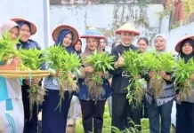 Lapas Perempuan Ternate Panen Kangkung dan Pare Produktif