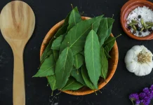 Tak Hanya Penyedap Masakan, Ini Manfaat Daun Salam