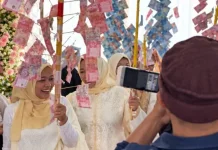 Pohon Saro Rp1,5 Miliar dan Rahasia Kemakmuran Orang Obi