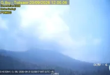 Gunung Ibu Erupsi 78 Kali dalam Sehari, Status Masih Waspada