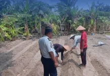 Lapas Tobelo Siapkan Lahan Pertanian untuk Tanam Caisim