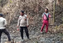 Gerak Cepat, Polres Sula Padamkan Karhutla di Desa Fuata