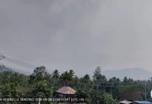 Aktivitas Gunung Dukono Masih Level II, Terjadi 107 Kali Letusan