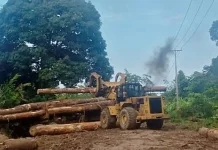 CV AEMM Diduga Langgar Wilayah Izin Penebangan di Sula