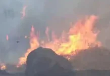 Kebakaran Lahan Kembali Terjadi di Topo Tiga Tidore