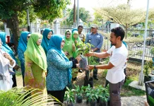 TP-PKK Tidore Nilai Lomba Gempar Dorong Warga Manfaatkan Pekarangan
