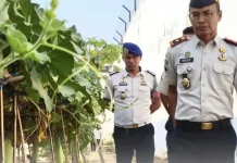 Rutan Soasiu Optimalkan Lahan untuk Ketahanan Pangan