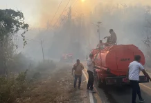 Karhutla di Kayasa-Gusale Meluas, BPBD Malut Terjunkan Tim Reaksi Cepat