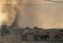 TPA Ternate Terbakar Hebat, Api Mengarah ke Permukiman