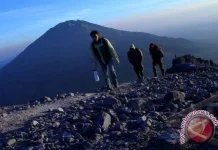 Jalur Pendakian Terbakar, Empat Pendaki Dilaporkan Terjebak di Gunung Gamalama