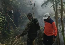Karhutla di Halmahera Barat, Pemda Minta Bantuan Helikopter Water Bombing
