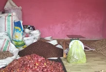 Harga Pala dan Coklat di Kepulauan Sula Tak Stabil