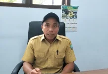 Waktu Dekat, Kormi Kepulauan Sula Akan Lakukan Pelantikan Pengurus