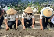 Lapas Tobelo Tanam Kangkung Dukung Ketahanan Pangan