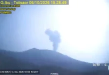 Gunung Ibu Catat 101 Letusan dalam Sehari, Status Level II