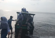 Perahu Kayu Saksi Perjuangan Siswa MAN 1 Halsel Taklukkan Laut Demi Pendidikan