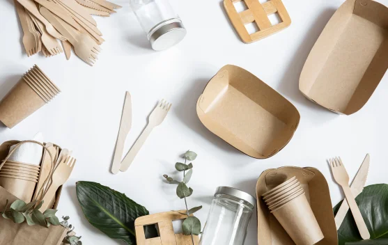 Green Marketing : Sebuah Polusi Menjadi Solusi