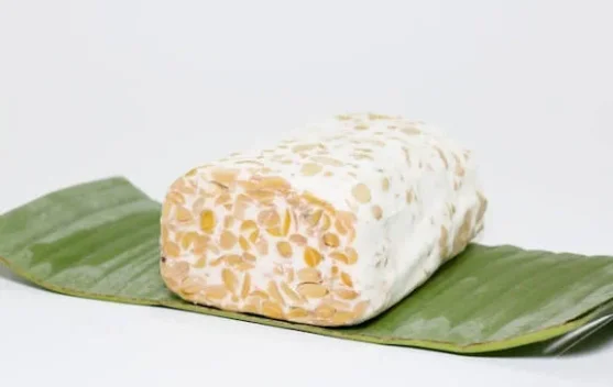 Tempe, Jaranan, Mak Yong Diajukan ke UNESCO