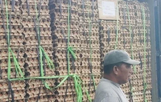 Sebanyak 10 Kontainer Telur Tiba Ternate, Stok Lebaran Aman