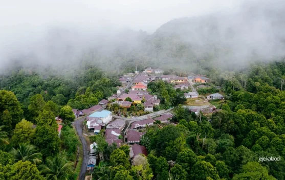 Kalaodi, Kampung Penjaga Hutan di Lereng Kie Matubu