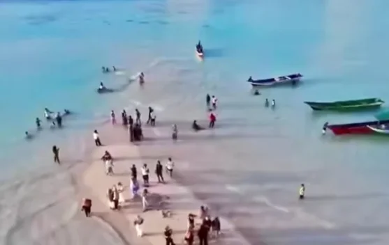 Muncul tengah Laut, Pasir Putih di Sula Ramai Dikunjungi Warga