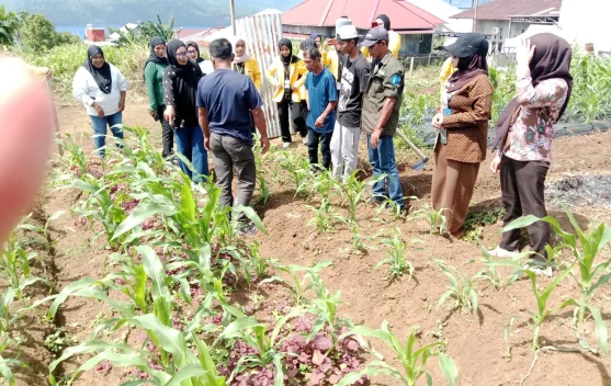 BNNP Malut Berdayakan Warga Jati lewat Pertanian Produktif