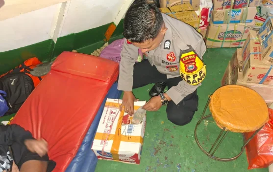 Polres Halsel Gagalkan Pengiriman Cap Tikus Melalui Pelabuhan Babang