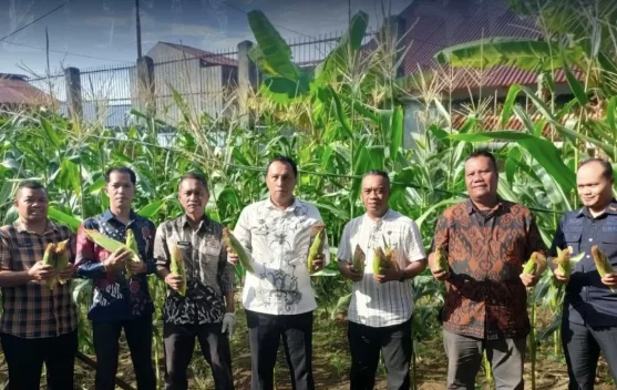 Lapas Ternate Panen Jagung Dukung Ketahanan Pangan Nasional