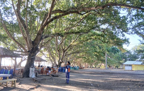 Menikmati Kesejukan dan Senja di Pantai Marimbati Halmahera Barat