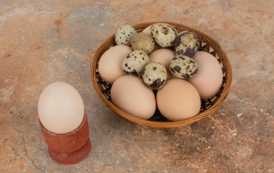Telur Puyuh atau Telur Ayam, Mana yang Kandungan Kolesterolnya Lebih Tinggi?