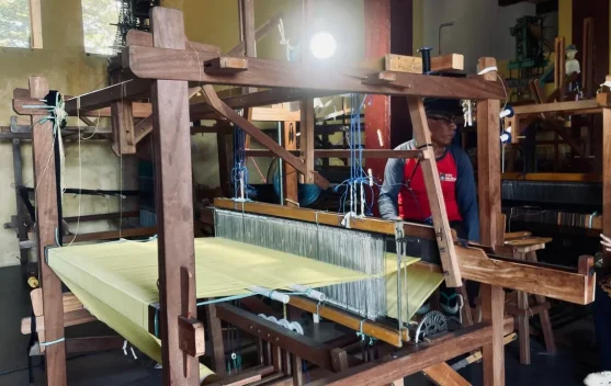 Merawat Denyut Asa Lewat Lembaran Kain di Rumah Tenun Rapidino