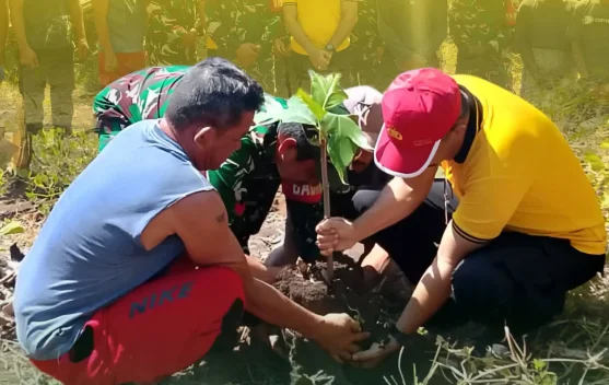 Koramil Wayabula Morotai Luncurkan Emas Hijau Gerakan 1 Juta Pohon Sukun
