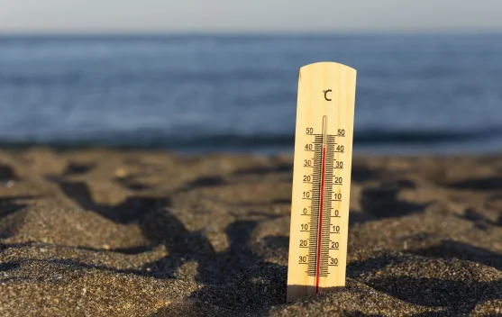 Waspadai Dampak El Nino, Cuaca Panas Tingkatkan Risiko Gangguan Kesehatan