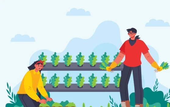 Mengenal Istilah Urban Farming