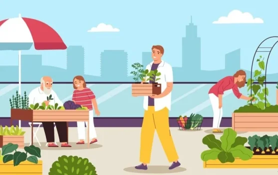 Ketahui Berbagai Metode Urban Farming