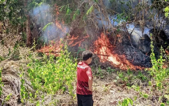 Karhutla di Kota Ternate Capai 79 Kejadian, Warga Diminta Waspada