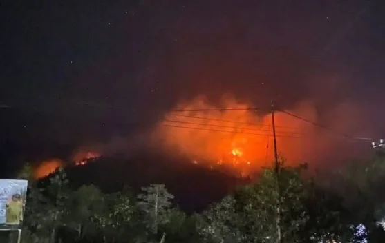 Karhutla Meluas di Halmahera Timur, Petugas Kewalahan Padamkan Api