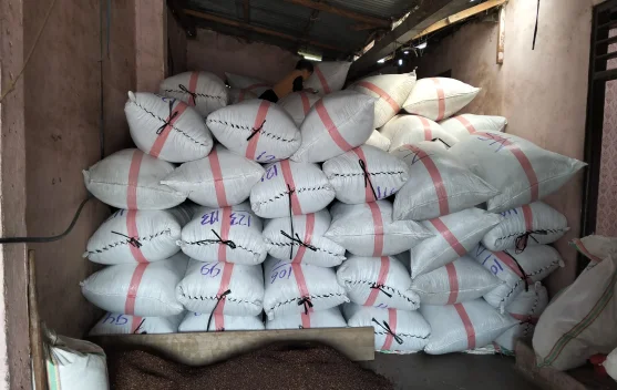 Harga Cengkih di Kepulauan Sula Membaik, Kabar Baik bagi Petani