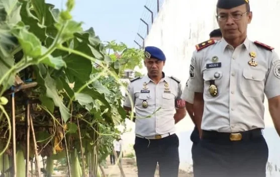 Rutan Soasiu Optimalkan Lahan untuk Ketahanan Pangan