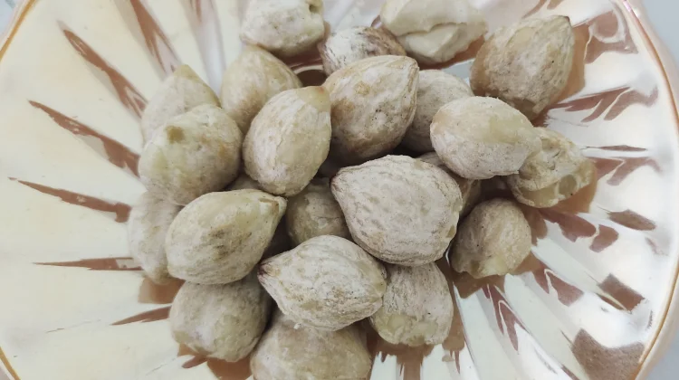 Buah kemiri baik untuk menjaga kecantikan kulit