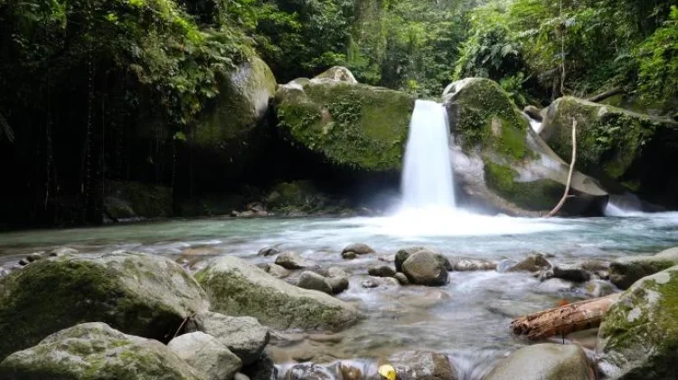 Air Terjun Malangga, Pesona Alam di tengah Hutan Tropis Kabupaten Tolitoli