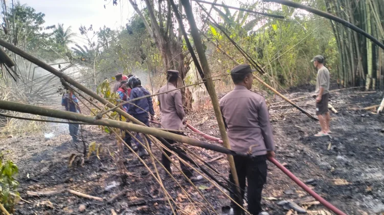 Lahan Perkebunan Milik Warga Bambalemo Terbakar