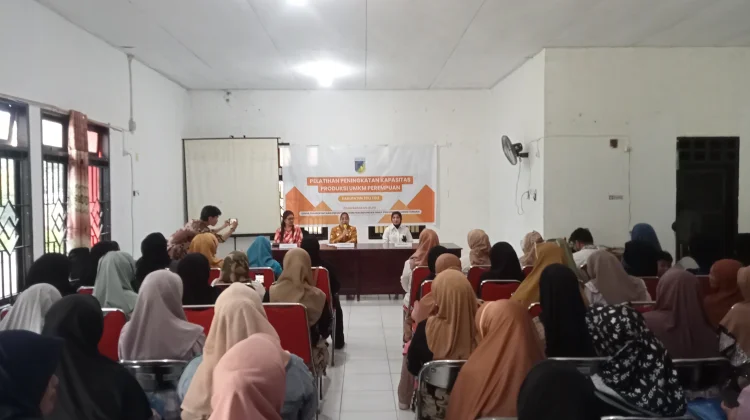 DP3A Sulteng Tingkatkan Kapasitas UMKM Perempuan di Tolitoli