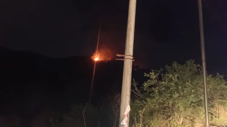 Kebakaran Hutan dan Lahan Kembali Terjadi di Gunung Ue Marongi