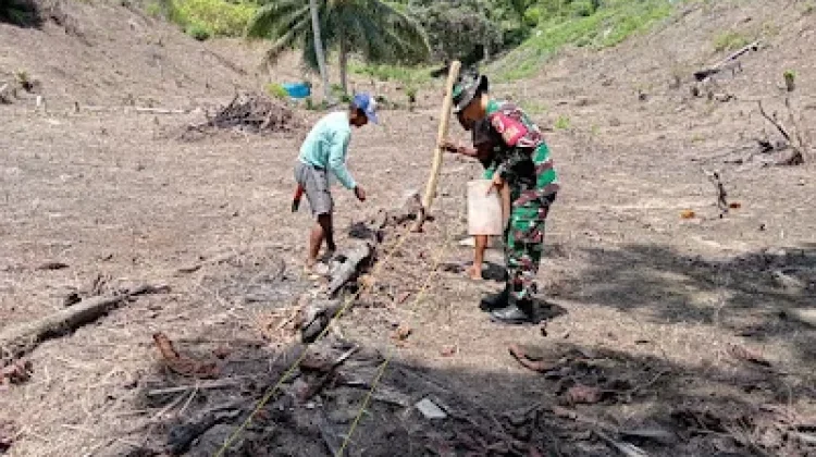 Desa Balaroa Tingkatkan Ketahanan Pangan Bersama Babinsa