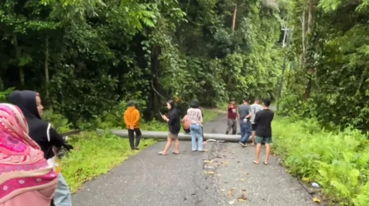 Dua tiang listrik PLN tumbang menutup jalan poros Tambu Kasimbar